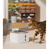 imageoneisall Stainless Steel Cat Water Fountain 35L118fl oz Automatic Pet Drinking Fountains for Cats Indoor Quiet Running Cat Waterer FountainsPW03 Cat Fountain 3 Sets FiltersPW03 White Fountain 3 Sets Filters
