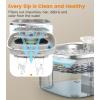 imageoneisall Stainless Steel Cat Water Fountain 35L118fl oz Automatic Pet Drinking Fountains for Cats Indoor Quiet Running Cat Waterer FountainsPW03 Cat Fountain 3 Sets FiltersPW03 Cat Fountain 3 Sets Filters