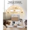 imageoneisall Automatic Cat Feeder for 2 Cats 20 Cups5L Automatic Cat Food Dispenser for Small Pets Indoor Timed Cat Feeder for Dry FoodWhiteWhite