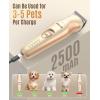 imageoneisall Dog Clippers with Double Blades2 in 1 Low Noise Dog Paw Trimmer2 Speed Cordless Dog Grooming ClippersElectric Dog Clippers for Small Dogs