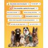 imageoneisall Dog Grooming Kit for Heavy Thick HairampampCoatsLow Noise Rechargeable Cordless Waterproof Dog Clippers for Grooming AnimalsampampPetsPet Shaver with Stainless Steel Blade and Paw Trimmer