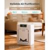 imageOneisall Air Purifiers for Home Pets with DoubleSided InletPet Air Purifier with Washable FiltersHome Large Room Up To 2200FtCADR 320mh25dBPM25 DisplayAir Purifier for Pets HairSmokePP02