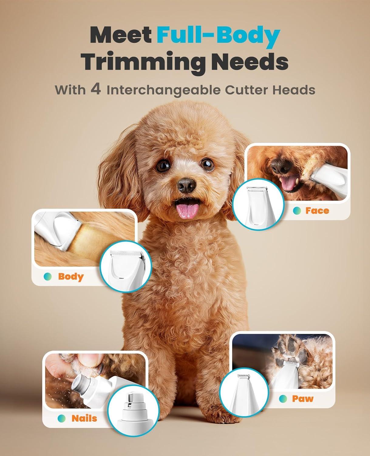 imageoneisall LED Light Dog Trimmer Clippers Cordless Dog Grooming Kit 2 in 1 2000mAh Pet Grooming Clippers Paw Trimmer Nail Grinder for Paw Nail Face Ears Legs BodyGold