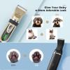 imageoneisall S6 Set Dog Clippers ampamp Paw Trimmer 2in1 Ultra Quiet Cordless Dog Grooming Kit Gold ampamp Black