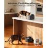 imageoneisall Wireless Cat Water Fountain 74oz22L Cordless Pet Water Fountains 20dB UltraQuiet Integrated SilentFlow Pump Battery Operated for Cats Indoor Easy to Clean Automatic Cat Water Dispenser