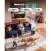 image:imageoneisall Pet Air Purifier for Home Large Room 3000 Ft H13 HEPA Washable Filter 360 Airflow Visible Air Cleaner for Pet Hair Odor Allergies Smoke Dust PM25 MonitorAuto ModeCat ToysPP04
