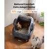 image:imageoneisall 4 in 1 Pet Grooming Kit and Self Cleaning Litter Box