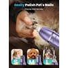 image:imageoneisall 4 in 1 Dog Grooming Kit with LCD Display Dog Hair Trimmer for Paw Nail Grinder Rechargeable Cordless Low Noise IPX7 Waterproof Pet Clippers Purple